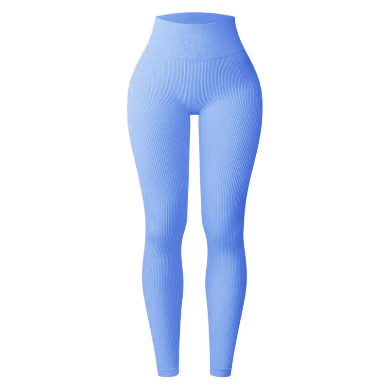 SheShape® Basic Seamless Leggings